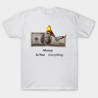 Money is not everything T-Shirt